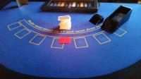 The Newcastle Fun Casino Company image 14